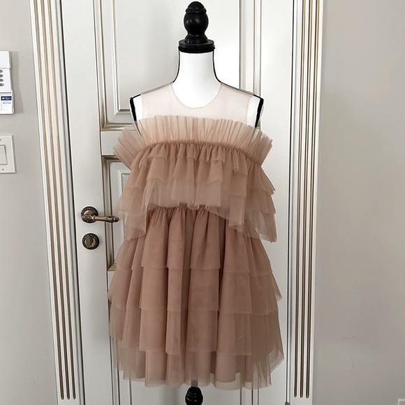ZARA Tulle Dress Limited Edition Beige Pink Size L - Picture 6 of 13